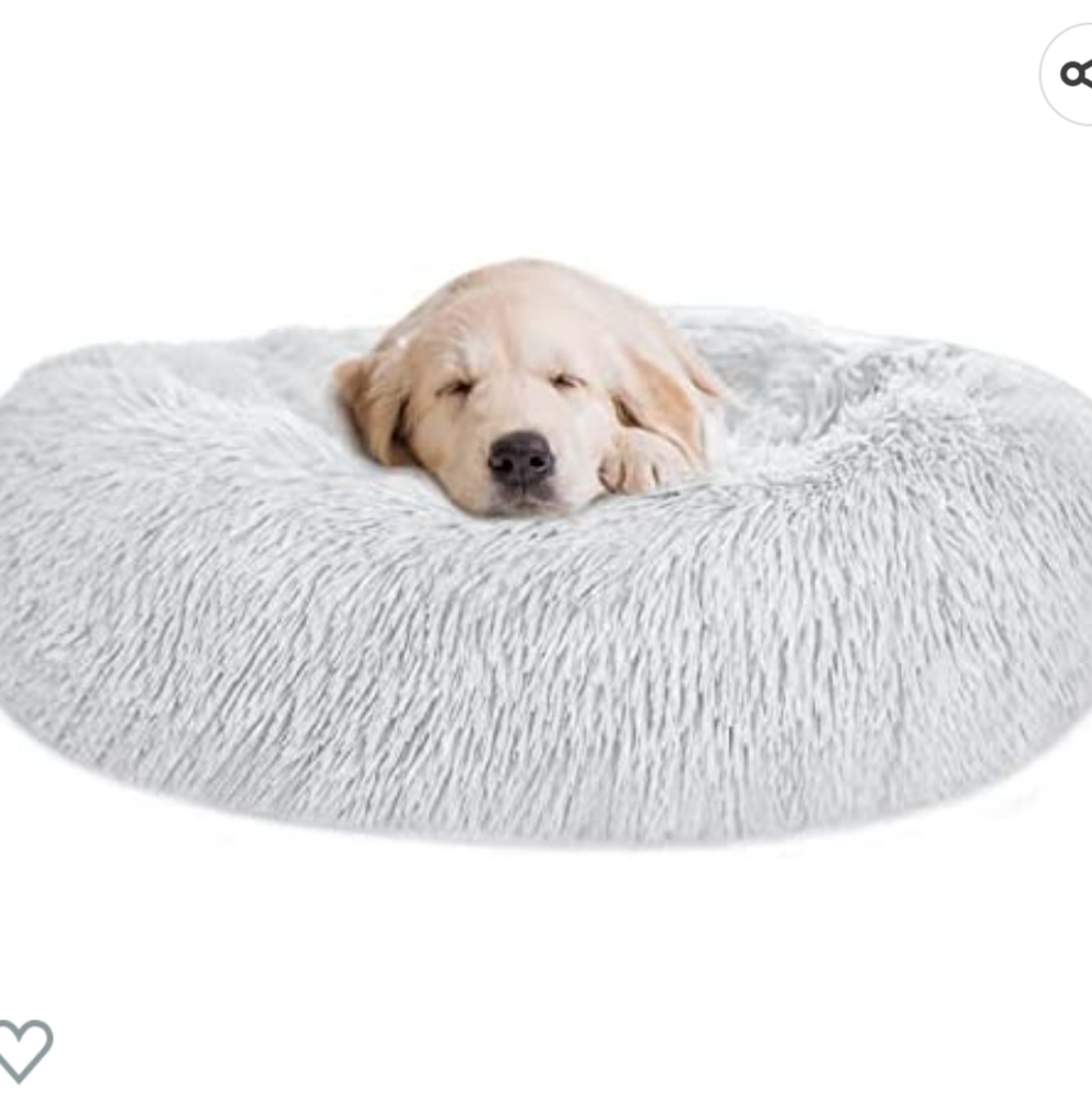 Dog bed